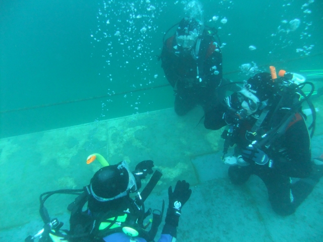  Divers in training