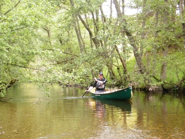 Paddling down the river
