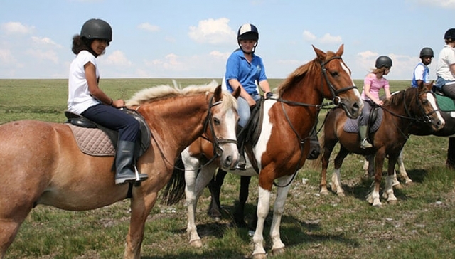  Aprenda a andar de cavalo ou pônei 