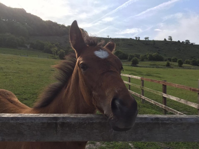  Komm und lerne das Team kennen! 