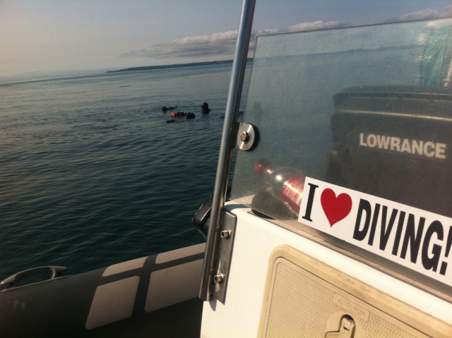  Nos encanta Diving 