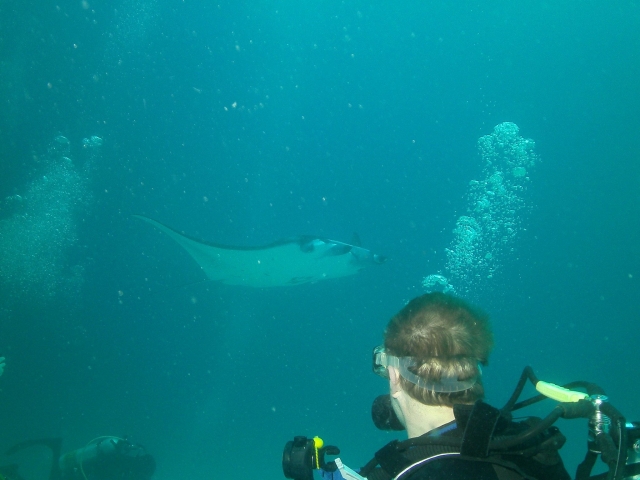 Diving experiences