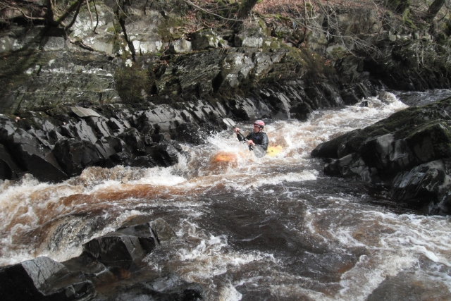  Cursos de Liderança 