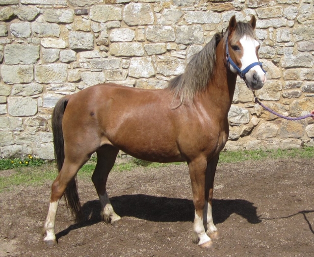  Venez rencontrer la famille ! 