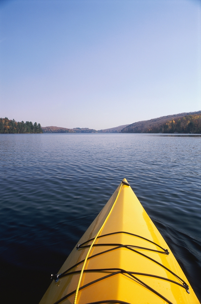  Viajes guiados disponibles 