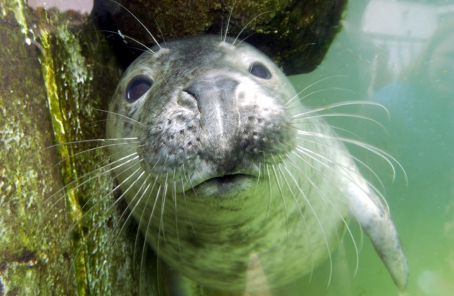  Clearsky Adventure Center Kayaking 