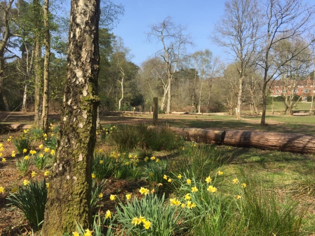 Landscape at our centre