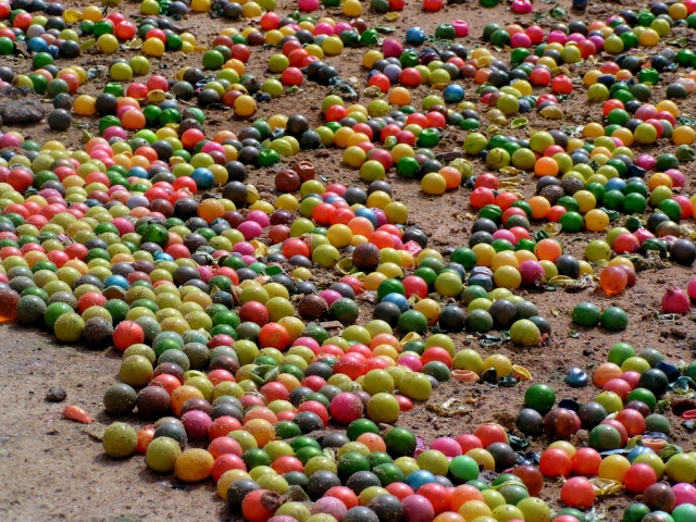  Paint balls 