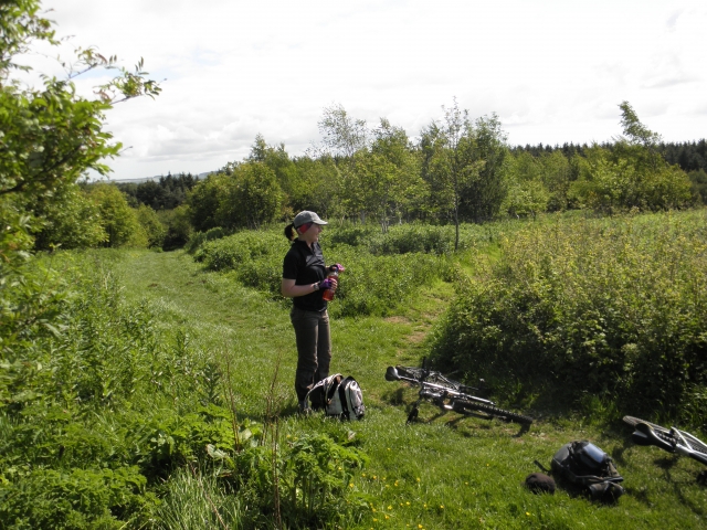 东罗曼德山在令人惊叹的夏日。