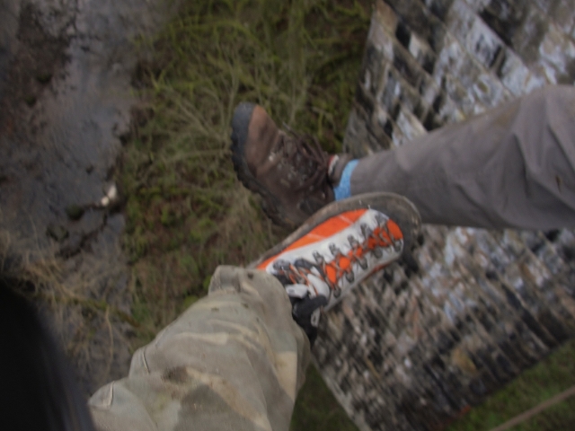 只有往下看才高。