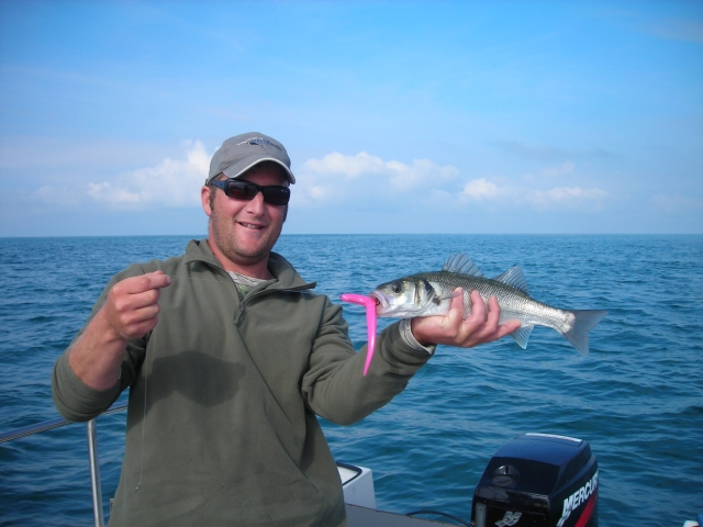  Basco pequeño en plásticos suaves 