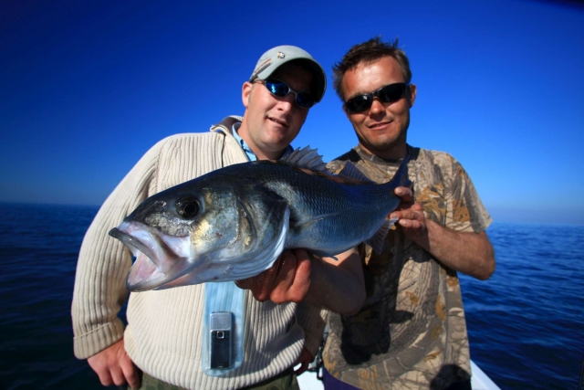  6 lb bajo, cliente feliz 