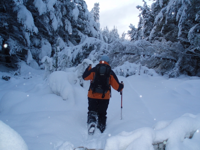 Un hiver La randonnée