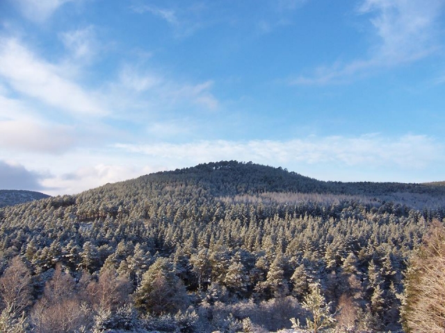 Explore our beautiful spaces. 