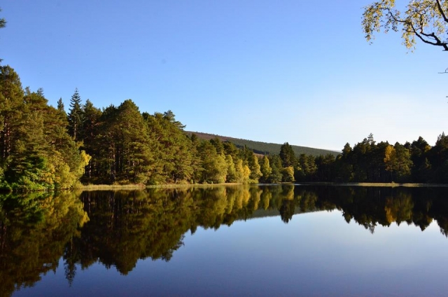 Explore all whats Glen Tanar Horse Riding has to offer