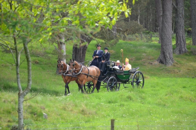 Have a ride with Glen Tanar Horse Riding