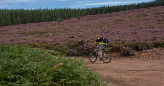 Mountain biking on estate
