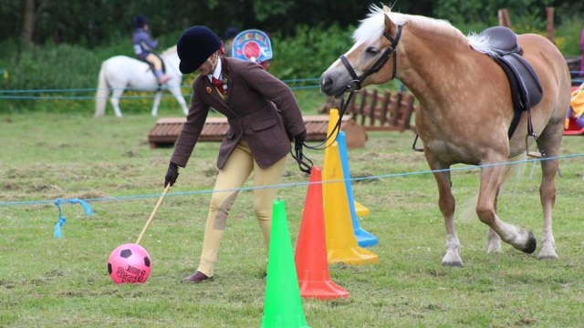 Activities and games at Rossendale Valley Riding Club
