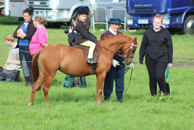 Novice Equitation at Rossendale Valley Riding Club