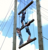 High Ropes at Harlow