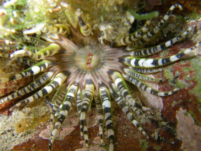  Atemberaubende Tierwelt 