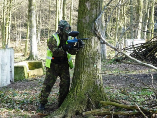 Escolha uma grande árvore para uma boa defesa 