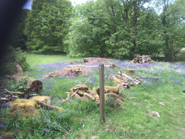  ¡Visite nuestros espacios!