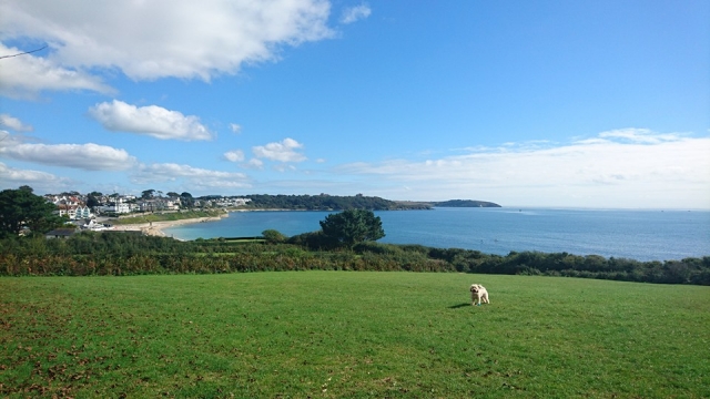 Falmouth.jpg