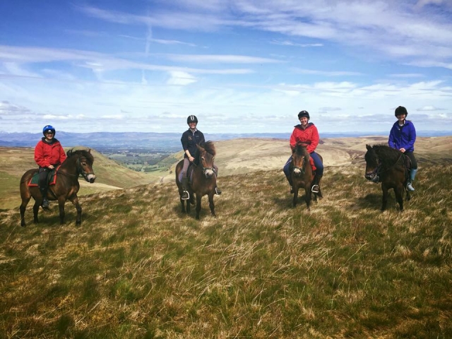  Vestado na Sociedade de Trekking da Exmoor Pony Trekking da Universidade de Edimburgo 