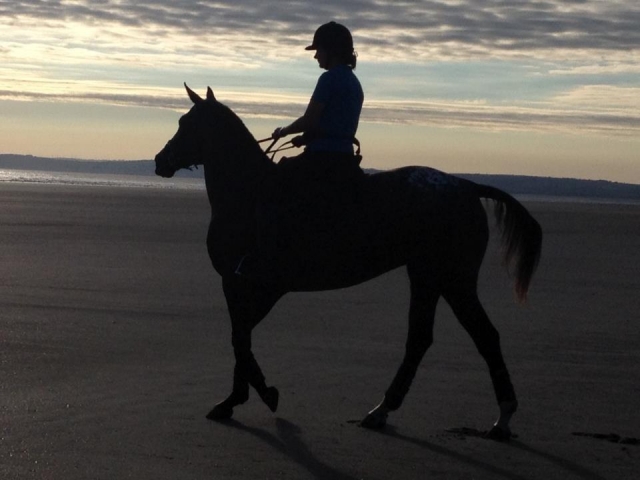 Beach Trekking with Pembry Park
