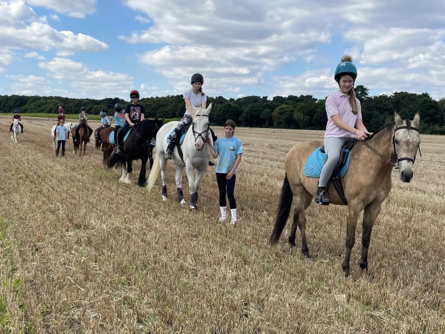  Hacking et équitation 