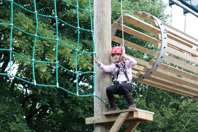  Highroper 