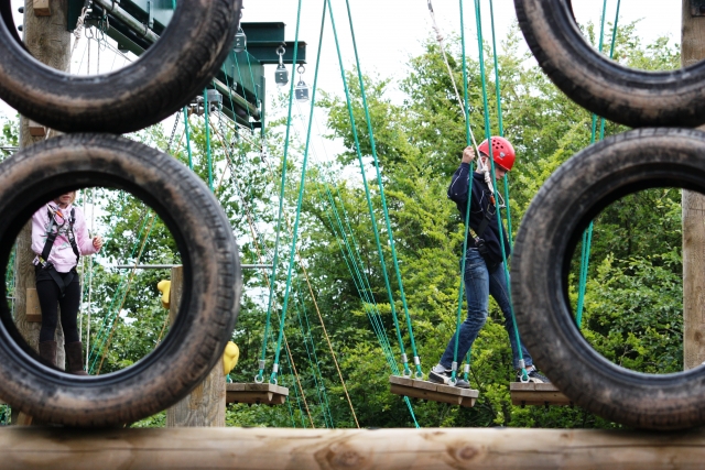  Highropes course with our swinging bridge 
