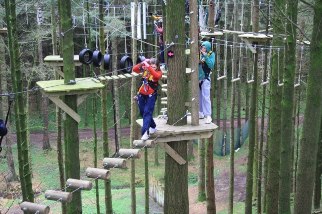  Nel mezzo della foresta 