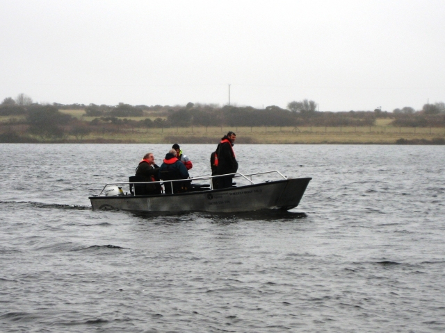  Wheelyboat