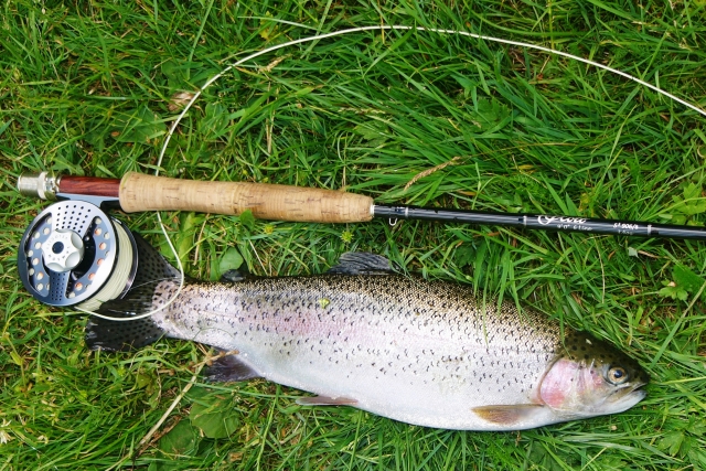  Pêche à la truite 