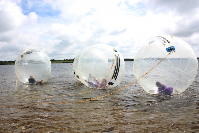  我们的 zorbs 