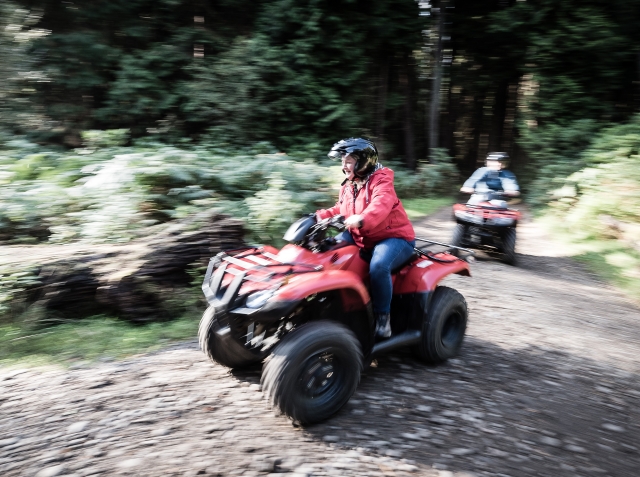  Forest Quad Bike Trail 