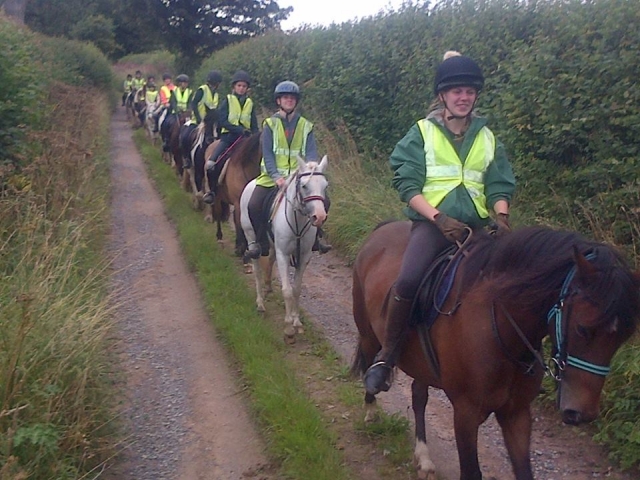 Divoky Riding School 的 Hacking