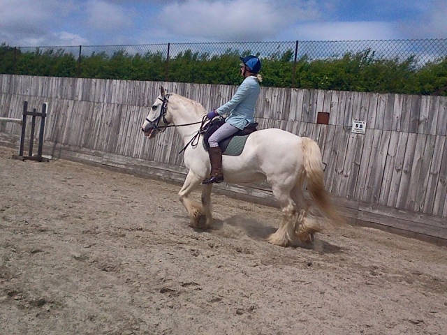 Divoky Riding School 的封闭式盛装舞步