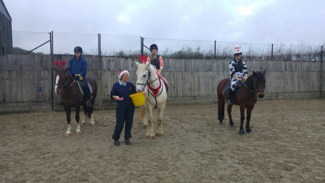 Divoky Riding School 的 Hacking