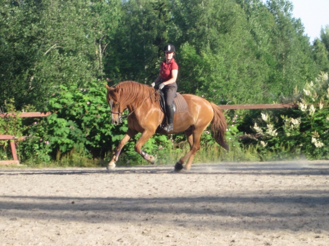  Reiten in unseren Anlagen! 