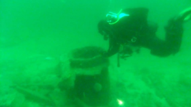  与 Dive Newquay 一起在康沃尔潜水珊瑚礁和沉船。 