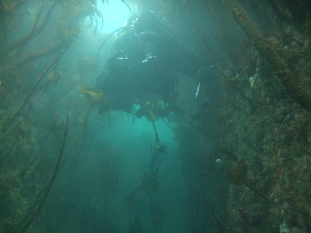  不容错过的体验。 