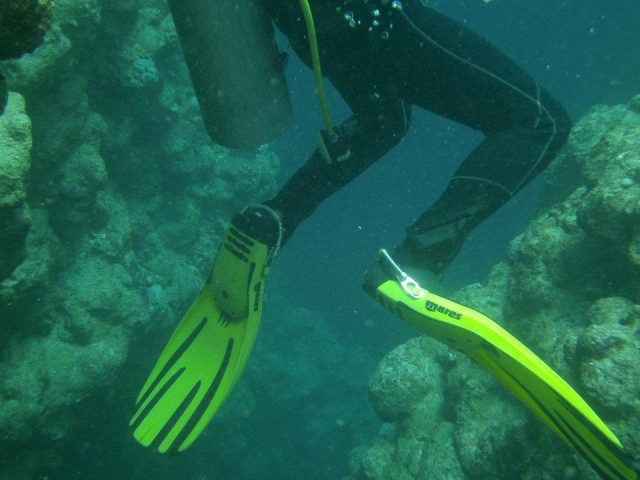  在令人兴奋和迷人的环境中教授所有 PADI 课程。