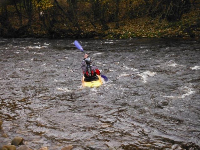  Impara nuove abilità 