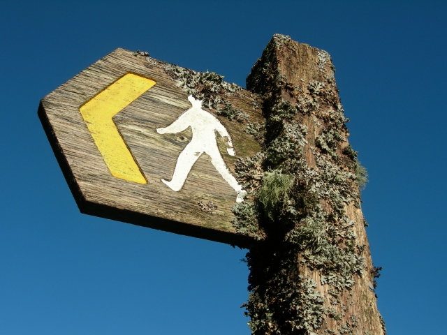 Navigation courses in Snowdonia