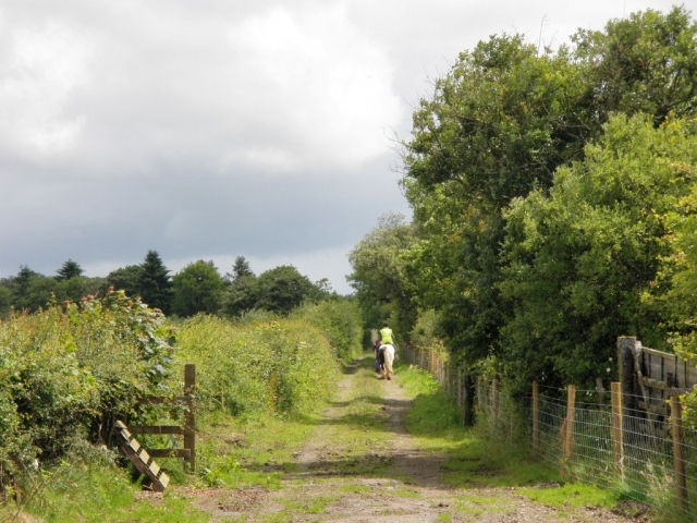  Passeggiate a cavallo nella Ruby County 