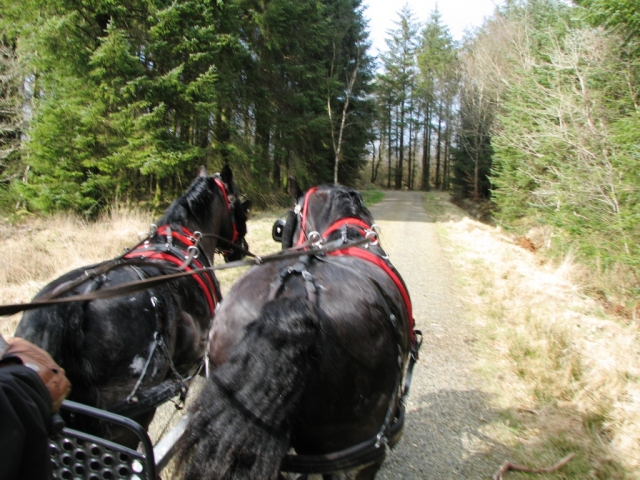  Trasporto in carrozza a Ruby Country. 