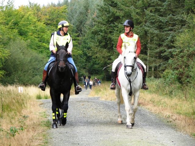 Molti percorsi diversi da provare. 